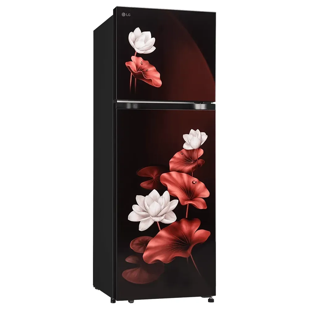 Buy LG 251L 2 Star Double Door Fridge GLT2526XWSL - Pai International