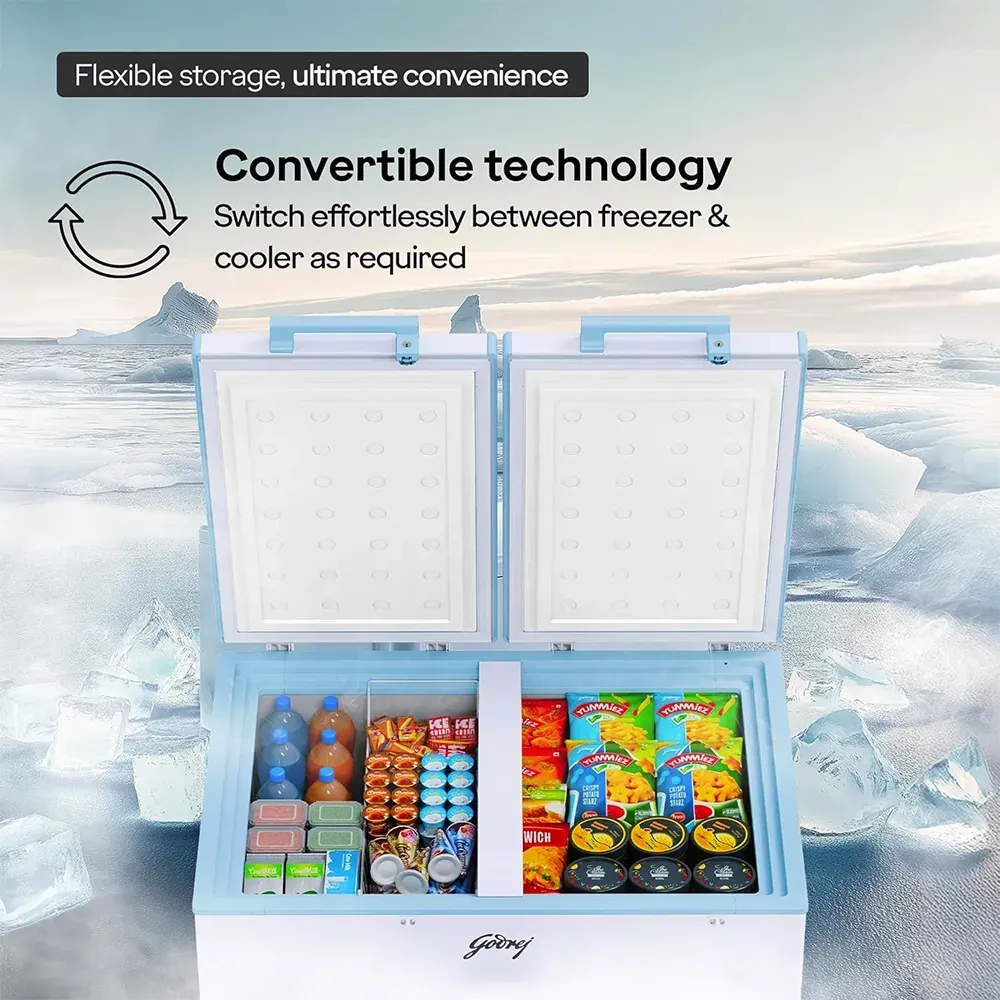 Buy Godrej 302L 4 Star Double Door Convertible Deep Freezer – Pai
