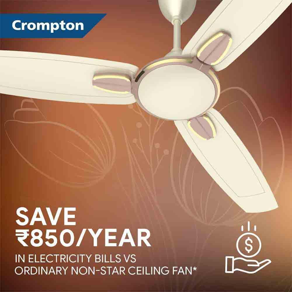 Buy Crompton Java Blades 1200mm Fan Anti-Dust Stylish Pai