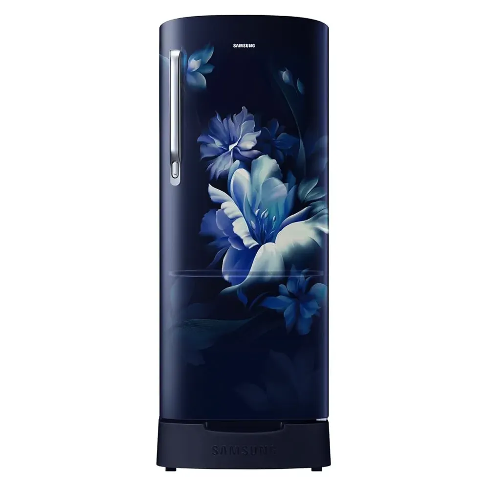 Daisy3様 Buy Samsung 183L 3 Star Direct Cool Refrigerator RR20H2823UZ – Pai
