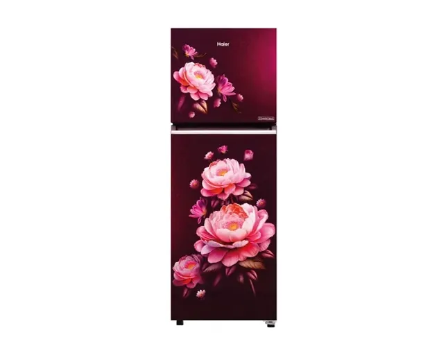 Buy Haier 240L Double Door Refrigerator HRF-2902ICRBA-P - Pai