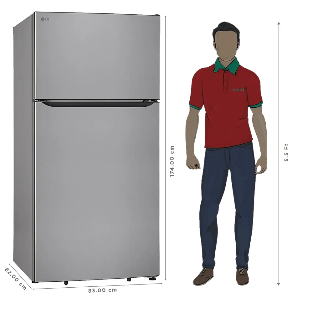Buy LG 674L Double Door Refrigerator GLT6816ODPZ - Pai International