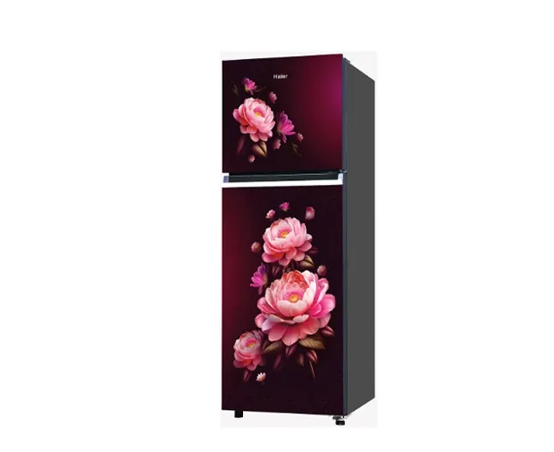 Buy Haier 240L Double Door Refrigerator HRF-2902ICRBA-P - Pai